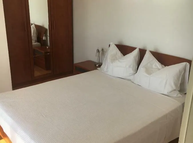 Lovric 프리모스턴